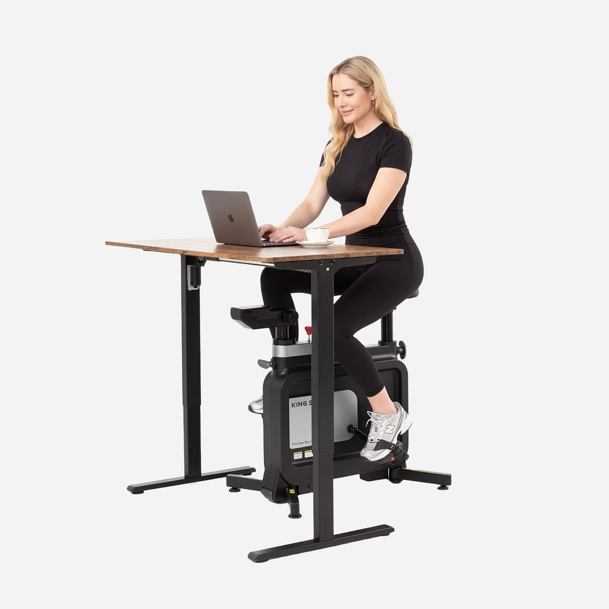 W1B KingSmith 3 IN 1 Foldable Exercise Bike