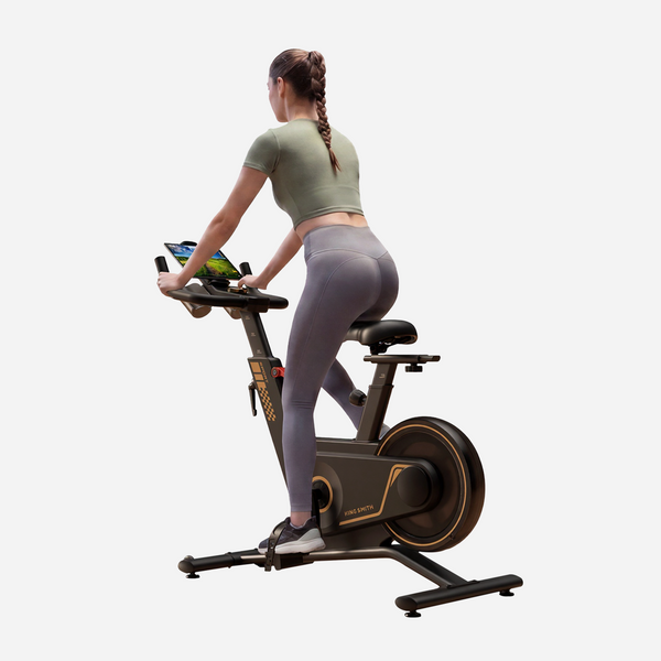 PB08S KingSmith Bike