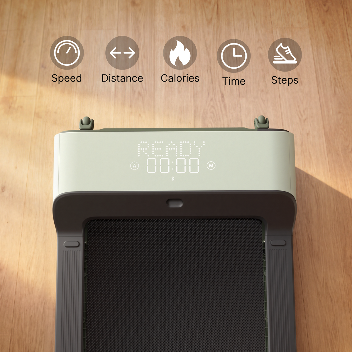 KingSmith WalkingCase